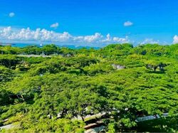 Blk 64 Marine Drive Gardens (Marine Parade), HDB 3 Rooms #602844861